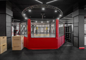 MMA октагон TARGEX, помост 1м