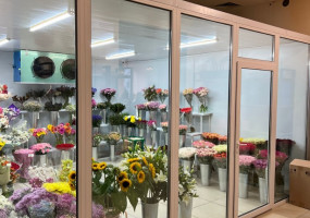 HUSKY — холодильное оборудование для бизнеса