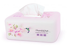 Двуслойные бумажные салфетки