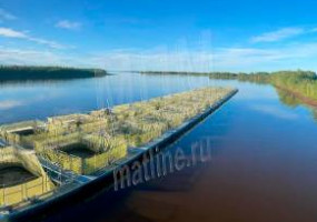 Мастерская Полимерных Материалов