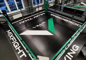 Боксерский ринг TARGEX, помост 0.5м