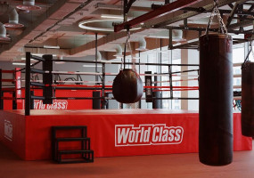 Боксерский ринг TARGEX, помост 1м