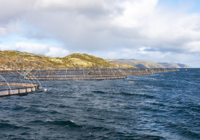 изготовление морских садков