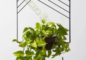 ИП Ермаков Никита Владимирович