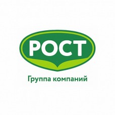 Промышленные предприятия России