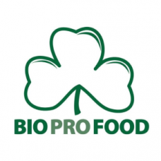 Промышленные предприятия России