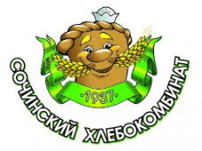 Промышленные предприятия России