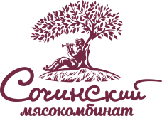 Промышленные предприятия России