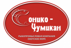 Промышленные предприятия России