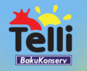 Промышленные предприятия России