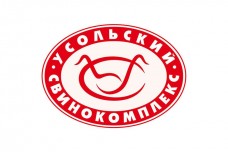 Промышленные предприятия России