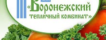 Воронежский тепличный комбинат