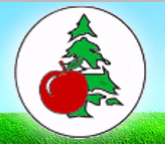 Промышленные предприятия России