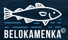 Промышленные предприятия России