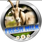 Промышленные предприятия России