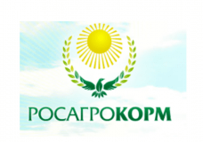 Промышленные предприятия России