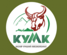 Промышленные предприятия России