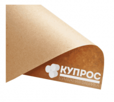 Промышленные предприятия России