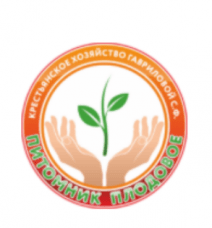 Промышленные предприятия России