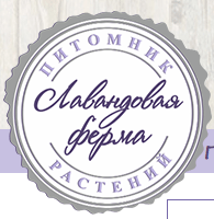 Промышленные предприятия России