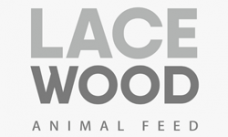 Промышленные предприятия России