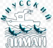 Промышленные предприятия России