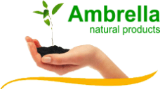 Промышленные предприятия России