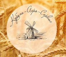 Промышленные предприятия России