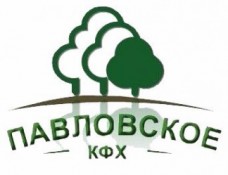 Промышленные предприятия России