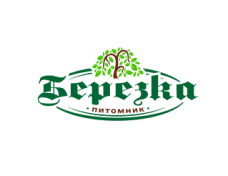 Промышленные предприятия России