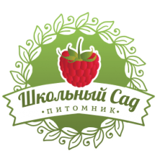 Промышленные предприятия России