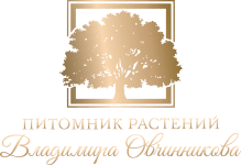 Промышленные предприятия России