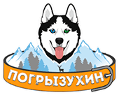 Промышленные предприятия России