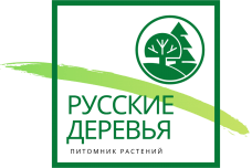 Русские деревья