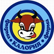 Промышленные предприятия России