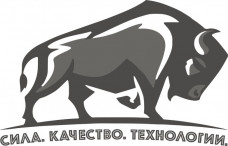 Промышленные предприятия России