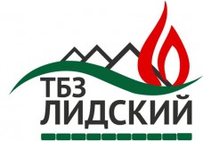 Промышленные предприятия России