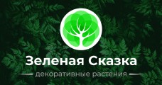 Зеленая Сказка