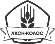 Промышленные предприятия России